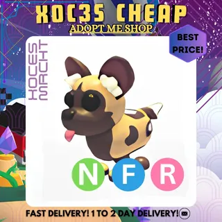 NFR African Wild Dog
