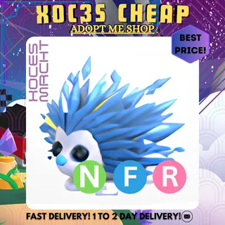 NFR Icy Porcufine