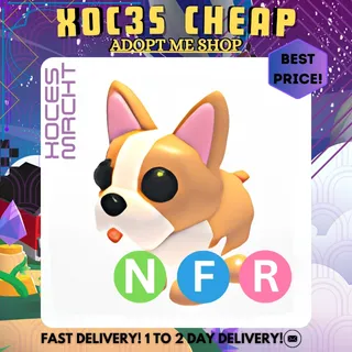 NFR French Bulldog