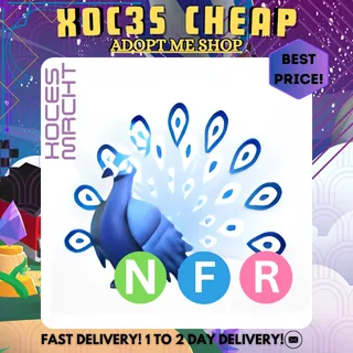 NFR Moonbeam Peacock