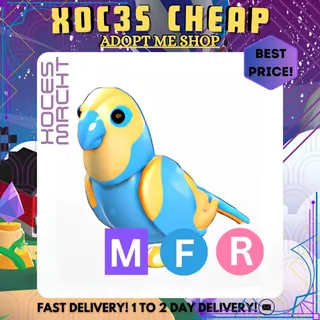 MFR Diamond Amazon