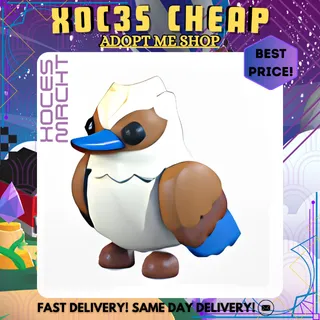 Kookaburra