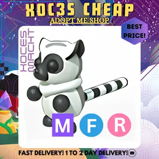 MFR Ring-Tailed Lemur