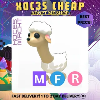 MFR Sheeeeep