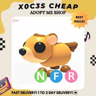 NFR GROUNDHOG