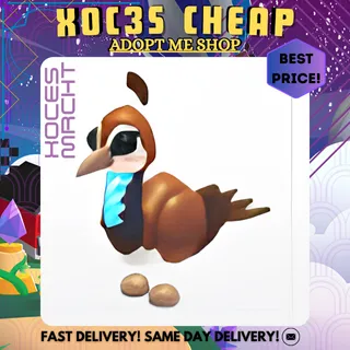 4x Peahen