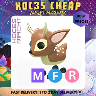 MFR  Fallow Deer 