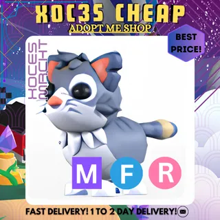 MFR Alley Cat