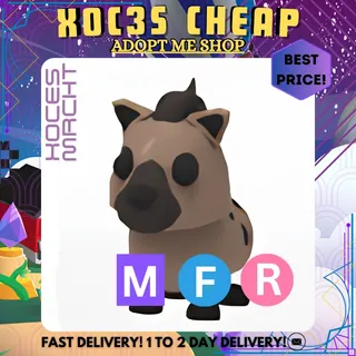 NFR Hyena