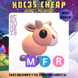MFR Moose Calf