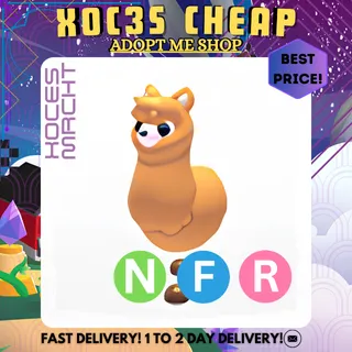 NFR Alpaca