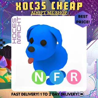 NFR Blue Dog