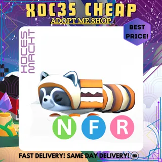 NFR S'MORES RACCOON