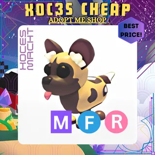 MFR African Wild Dog