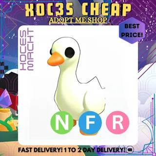 NFR Goose