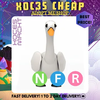 NFR Swan