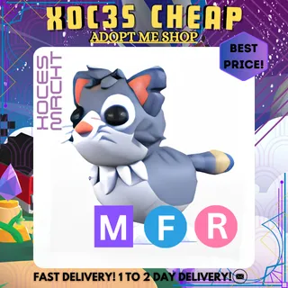 MFR Alley Cat