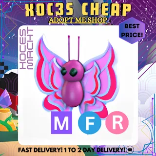 MFR Orchid Butterfly