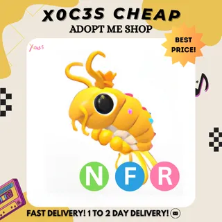 NFR PRICELESS SHRIMP