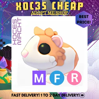 MFR Red Dutch Guinea Pig