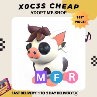 MFR MINI PIG