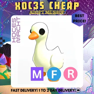 MFR Goose