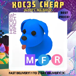 MFR Blue Dog 