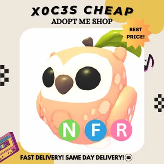 NFR PEACH OWL