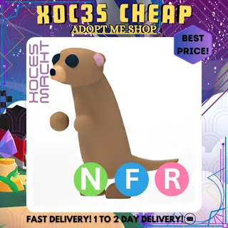 NFR Meerkat