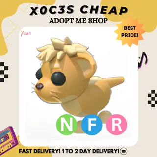 NFR LION CUB