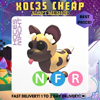 NFR African Wild Dog