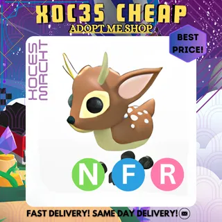NFR Fallow Deer 