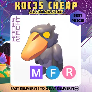 MFR Shoebill