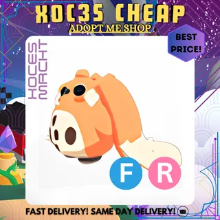 FR Cabbit 