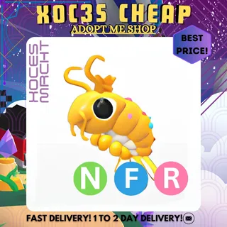 NFR Priceless Shrimp