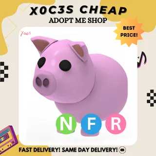 NFR PIG