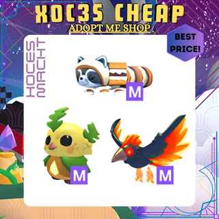 Week 4 Bundle - Adopt Me!
