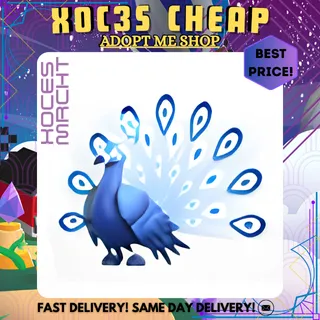 Moonbeam Peacock