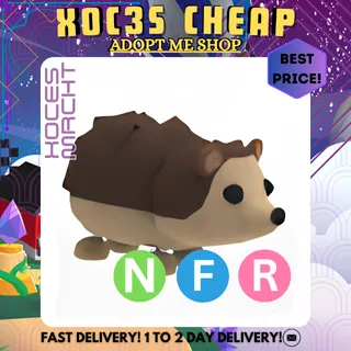 NFR Hedgehog