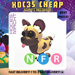 NFR African Wild Dog