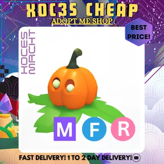 MFR Pumpkin Friend
