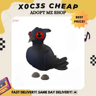 BLACK-CHESTED PHEASANT