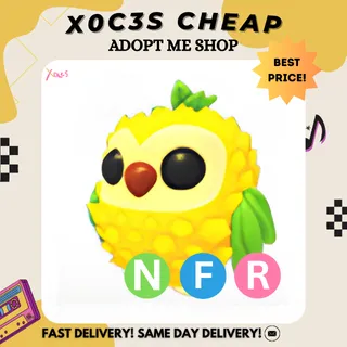 NFR PINEAPPLE OWL