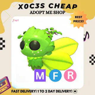 MFR GAELIC FAE