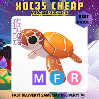 MFR Sea Turtle