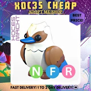 NFR Kookaburra