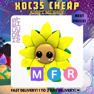 MFR Sunflower Friend