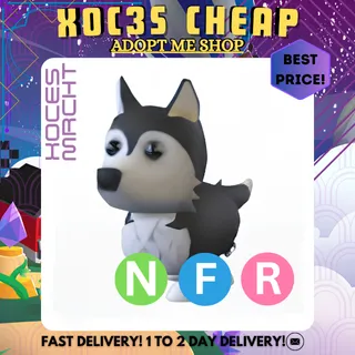 NFR Husky