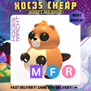 MFR Ranger Beaver