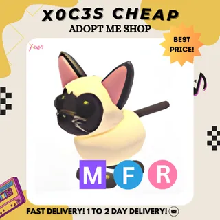 MFR SIAMESE CAT